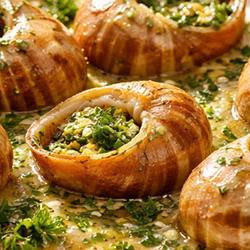 French Baked Snails: A Classic Delicacy of Elegance and Flavor