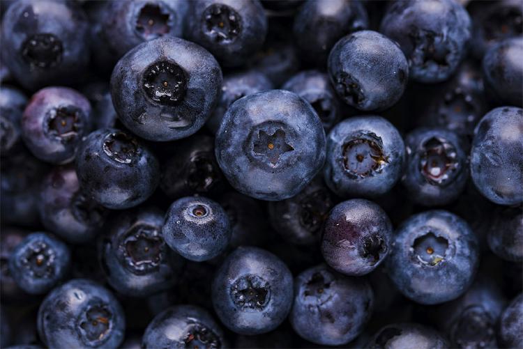Blueberry: Small Fruit, Deep Flavor