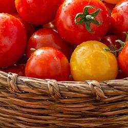 Cherry Tomatoes: A Small but Flavorful Superfood