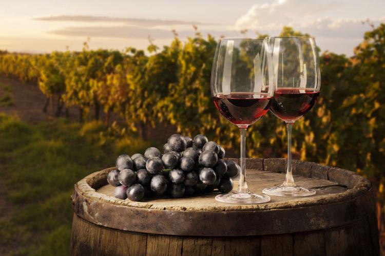 Red Wine: Tasting Time and Terroir in a Single Glass